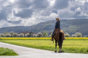 Frau auf Pferd am reiten mit Weitblick über grüne Landschaft