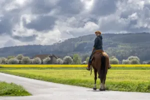 Frau auf Pferd