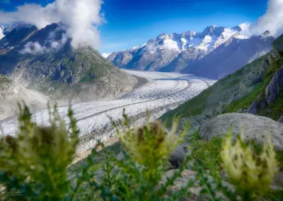 Aletschgletscher