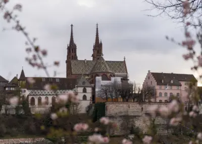 Basler Münster mit Blüten im Vordergrund