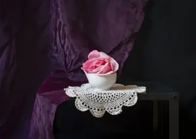 Stillleben Rose in Schüssel
